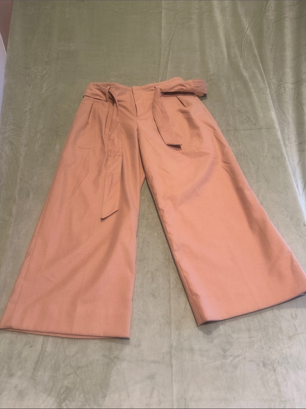 #973 Banana Republic Wide-Leg Paperbag Pants - Rose